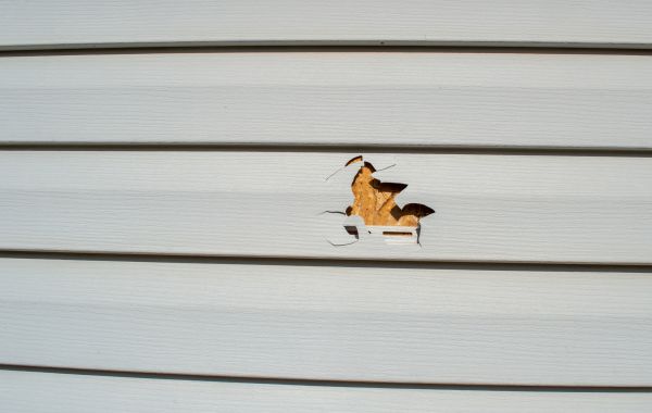 Professional Siding Hole Patching